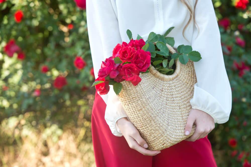 Woman's arms holding a basket of roses